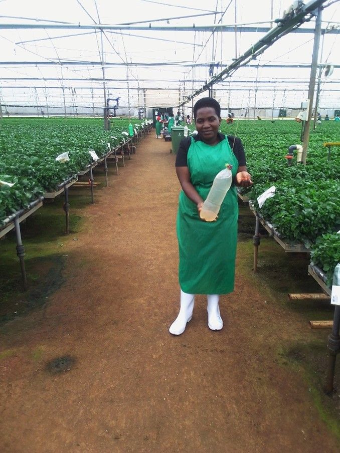 Lilian Namuwaya - Quality Manager